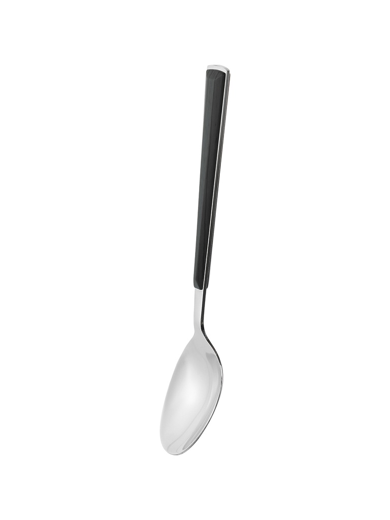 DINNER SPOON BLACK