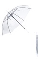 Transparent POE Long Umbrella